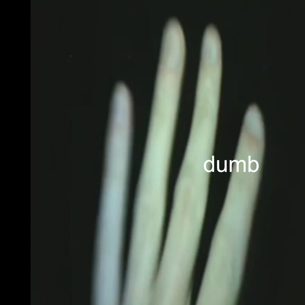 Sipper – “Dumb”