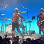 Watch Iggy Pop Sing Superman Hit “Punkrocker” Live For The First Time