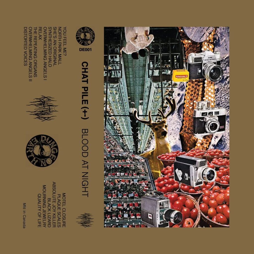Chat Pile Launch New Tape Label Dungeon Earth Recordings, Release Cool World Miscellanea
