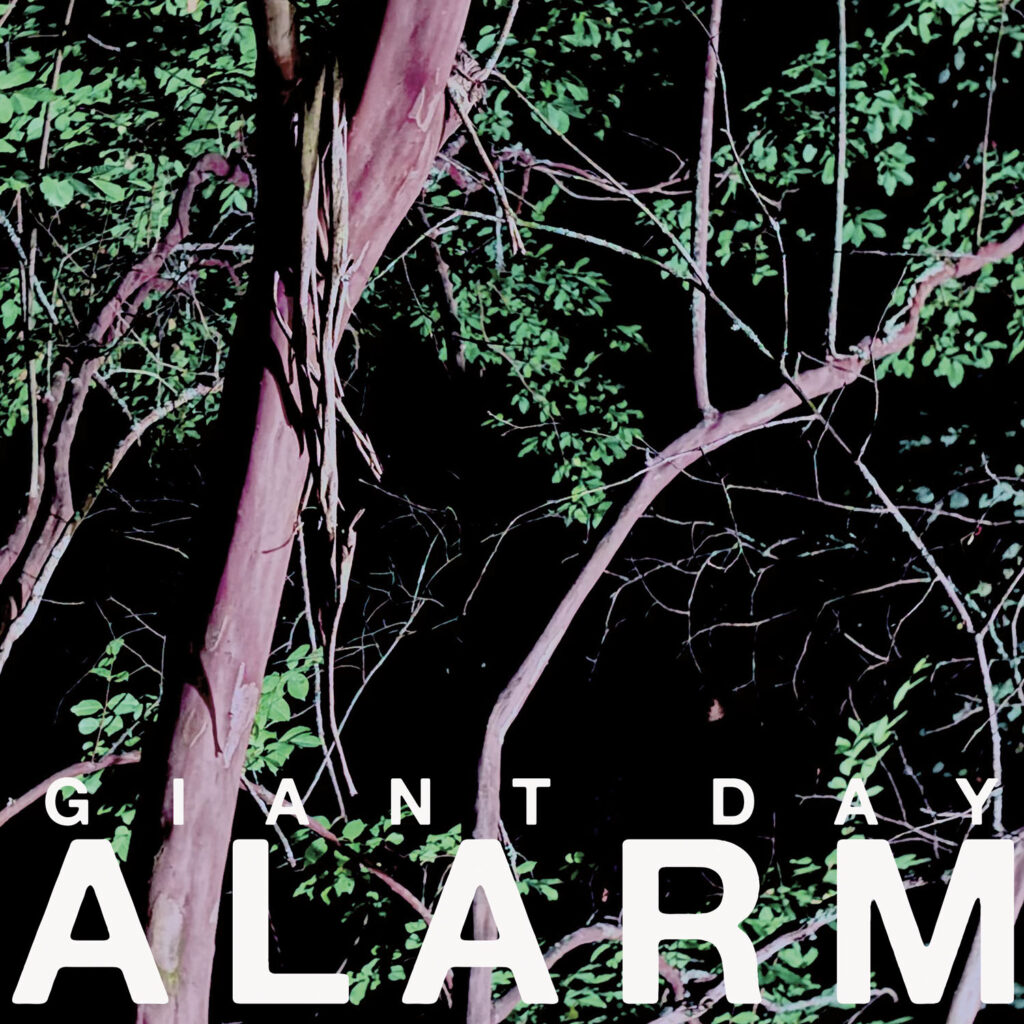 Giant Day Announce New Album Alarm: Hear “Devil Dog”