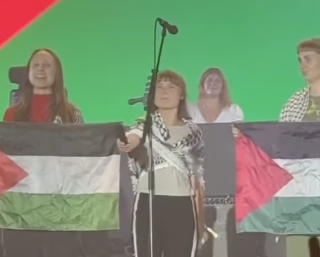 Greta Thunberg Joins Sam Fender For “Free Palestine” Call At Syd For Solen Festival