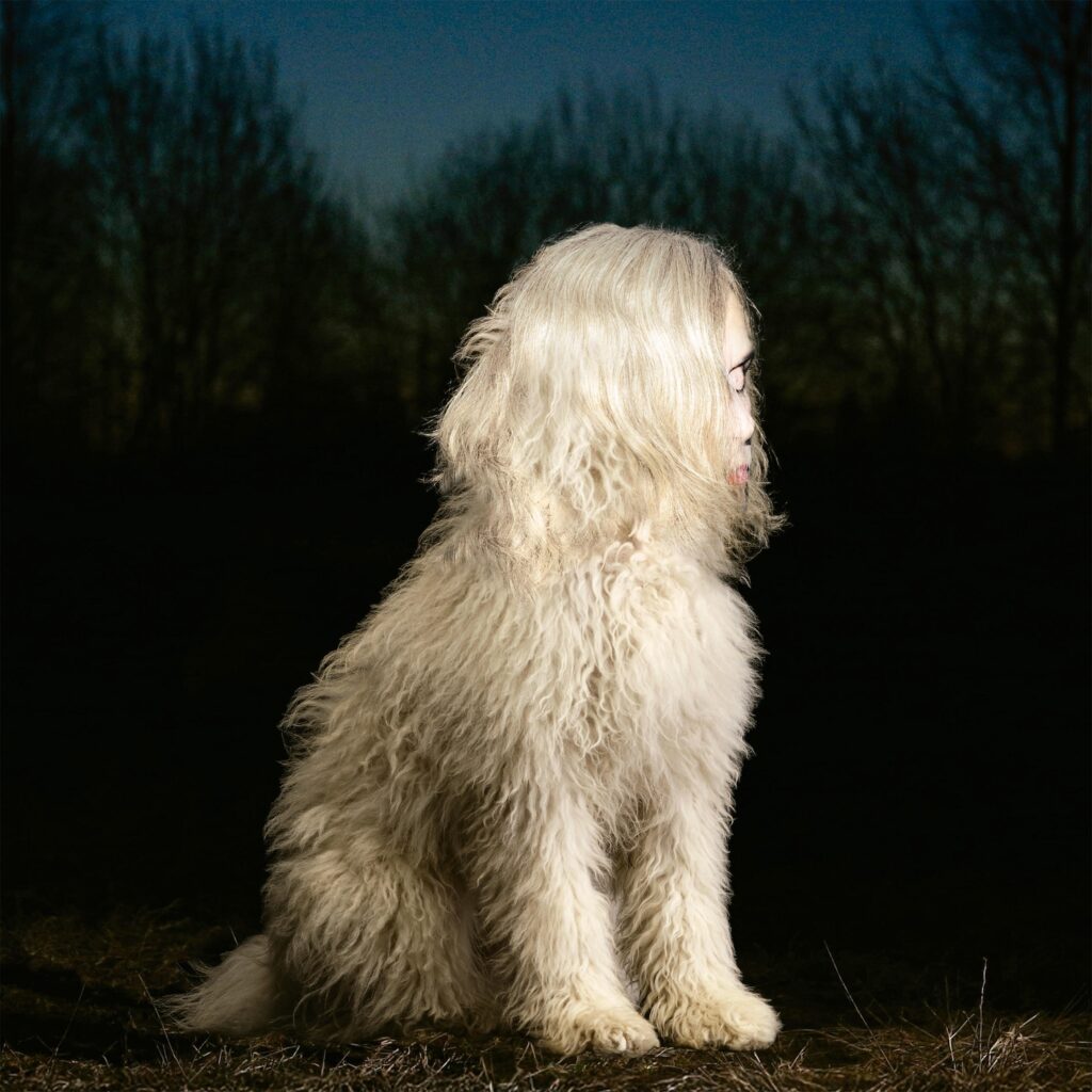 Juana Molina Announces First New Album In Eight Years DOGA: Hear “Siestas ahí”