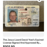 David Yow Auctioning Jesus Lizard Memorabilia And Bulk Psyllium Husks