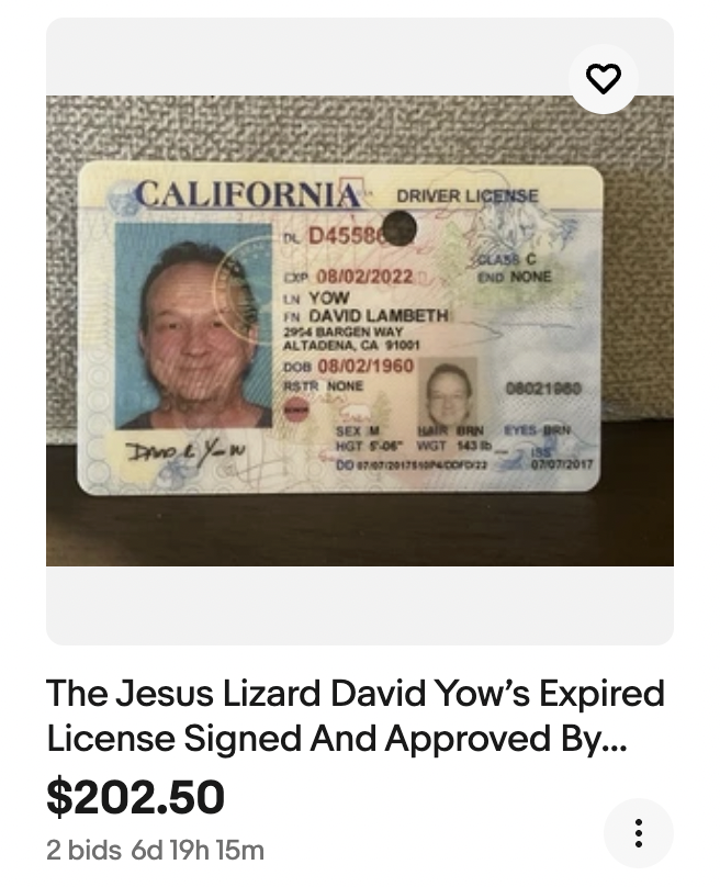 David Yow Auctioning Jesus Lizard Memorabilia And Bulk Psyllium Husks