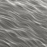 Whitelands Announce New Album Sunlight Echoes: Hear “Glance”