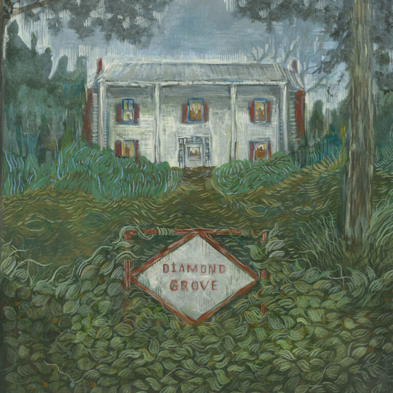 Weirs’ Diamond Grove Is The Traditional Folk/Experimental Noise Album You Didn’t Know You Needed