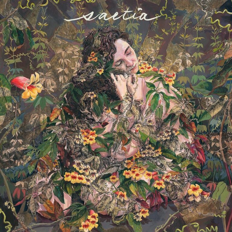 Saetia Pull Their Music From Spotify