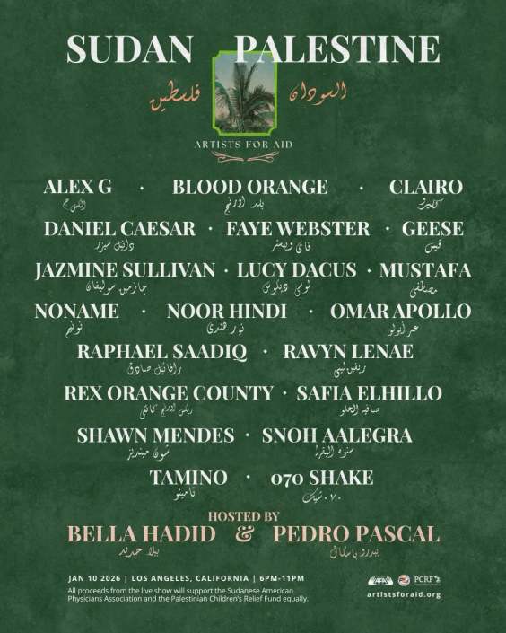 Clairo, Geese, Blood Orange, & More Playing Artists For Aid Benefit In LA