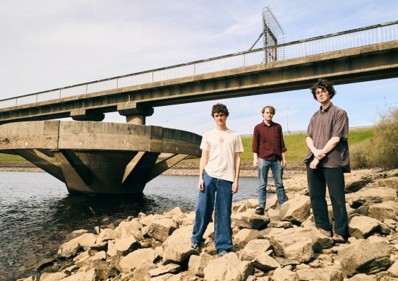 Shaking Hand – “Cable Ties”