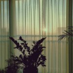 Parannoul – “연말 다짐 (New Year’s Resolutions)”