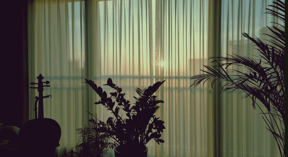 Parannoul – “연말 다짐 (New Year’s Resolutions)”