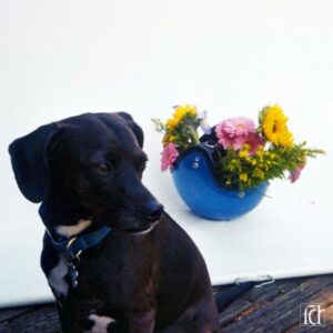 TV Star – “Texas Relation”