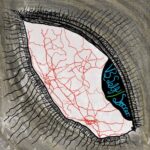 vs self & soccer. Share Feverish New Trans-Pacific Screamo Split